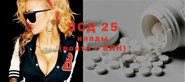 дмт Осинники